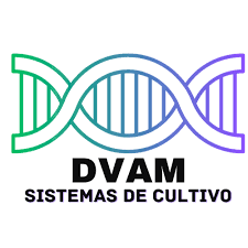 Logo DVAM